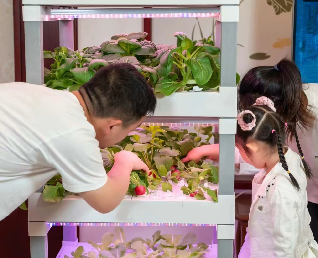 nt China Hydrokultur Grow Box  - Home Automation Systems Diy 评论和价格